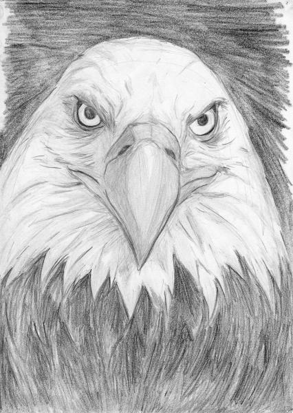 AIGLE